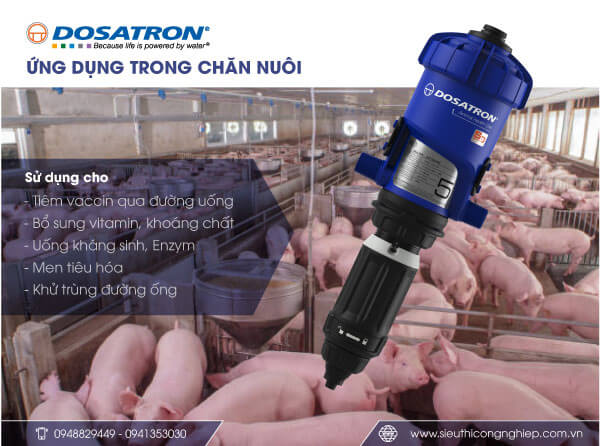 Ứng dụng bơm định lượng Dosatron trong chăn nuôi