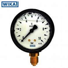 Đồng hồ áp suất Wika,Thân nhựa,Model 113.13