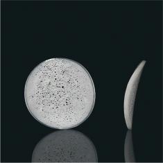 DC Biochip - Giá thể MBBR cho Hệ thống Xử lý Nước thải